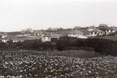 The Corner of the Market Garden