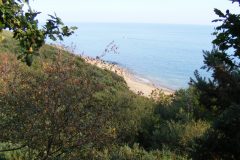 Fairlight Glen 2009