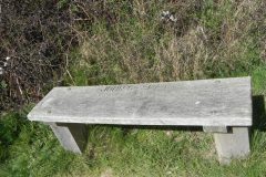 John's Seat, Fairlight 2014