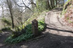 Fairlight Glen 2015