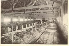 Cow Shed Waites Farm