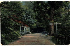 Fairlight Glen