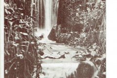 The Dripping Well