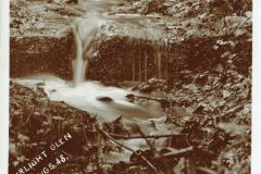 Fairlight Glen