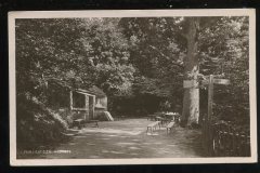 Fairlight Glen