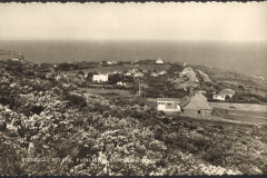 Firehills Estate, Fairlight Cove